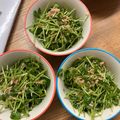 Ｎよんよん's cooksnap of when they made シャキ！ぷちっ！豆苗とツナの胡麻サラダ.