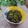 クックHG9V8Y☆'s cooksnap of when they made ＊大根葉じゃこふりかけ＊.