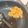 ももちくん's cooksnap of when they made ５分で簡単！納豆チャーハン.