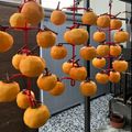 るるねこ's cooksnap of when they made ★失敗しない干し柿の作り方.