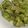 クックRPIZXH☆'s cooksnap of when they made 【給食で人気！】炒めきゅうり.