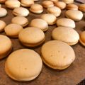 えびすかえら's cooksnap of when they made ★ラングドシャ 白い恋人風★.