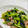 蝶香♪'s cooksnap of when they made 小松菜と豚肉のオイスターソース炒め.