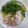 きゃろり's cooksnap of when they made 簡単！和風ツナおろしパスタ.