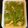 クック4YTU0S☆'s cooksnap of when they made 白だしで簡単！ふきと油揚げの煮物.