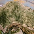 lemonina's cooksnap of when they made 簡単絶品♫抹茶ティラミス.
