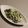 神風＊'s cooksnap of when they made わかめ♧水菜♧鶏肉の柚子胡椒マヨサラダ.