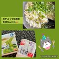 ちゃかぴまま's cooksnap of when they made 簡単♡やさし～い♡めかぶとしらすのおじや.