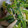 ｍａｋｉ0124's cooksnap of when they made カニカマとほうれん草のおかかマヨ和え.