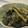 Lady_75's cooksnap of when they made 簡単♡練りごまで♫♬ほうれん草のごま和え.