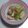 オリオバナ's cooksnap of when they made 鶏ムネ肉と焼き長ネギのみぞれ煮.
