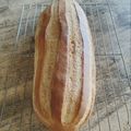 nozunao's cooksnap of when they made いつものミルクブレッド(HBで1次発酵).