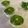 COCONA02's cooksnap of when they made 枝豆豆腐ティラミス♪むくみに簡単漢方薬膳.