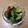 みぃくんのママ's cooksnap of when they made 【楽めし】きゅうりのピリ辛.