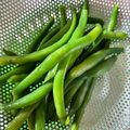 azbjbn's cooksnap of when they made 美しいインゲンの茹で方.