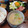ひっこ's cooksnap of when they made 簡単！我が家の粕汁.