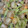 sherry0430's cooksnap of when they made アスパラとエビホタテのアヒージョ風炒め.