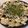 ラグドールロコ's cooksnap of when they made 米粉と豆腐！もちもちお好み焼き！.