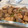 hama♪♪♪'s cooksnap of when they made 味が染みてる！厚揚げこんにゃく味噌煮込み.