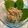 なつき☆ミ's cooksnap of when they made おつまみや丼に🍻🍲至福のねぎトロたくあん.