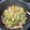 Myu's cooksnap of when they made 簡単☆レタスと卵のオイスターソース炒め.
