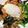 クック1074M1☆'s cooksnap of when they made 簡単失敗なし！トッピング用温泉卵の作り方.