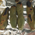 ま＊ど＊か♪'s cooksnap of when they made 魚焼きグリルで♪皮ごと空豆素焼き.