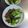 たまねこ's cooksnap of when they made 食欲そそる！チンゲン菜の肉味噌炒め.