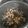 なaな's cooksnap of when they made ツナとひじきの炊き込みご飯.