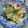 ちこりん。's cooksnap of when they made 卵とチンゲン菜のオイスターバター炒め.