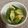 バウンド's cooksnap of when they made おくらと竹輪の辛子和え.