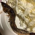 クック49L4Ho☆'s cooksnap of when they made 鮎の塩焼き.