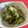 ホウキボウシ's cooksnap of when they made 香ばしい♪ブロッコリーのくるみ和え.