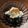 四児のハハ's cooksnap of when they made ブルーベリーシナモンヨーグルト.