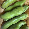 9ma9ma's cooksnap of when they made 空豆焼いただけ（ｸﾞﾘﾙorｵｰﾌﾞﾝ）.