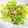 プー♡'s cooksnap of when they made ☆さっぱり簡単♪レタスとしらすのサラダ☆.