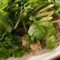 MULA's cooksnap of when they made サラダセロリのツナドレサラダ.