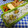 ととろ＆めい's cooksnap of when they made 生栗からの栗ご飯　３合.