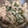 あゆたっくん's cooksnap of when they made 優しい風味【大根と豚のにんにく白だし煮】.