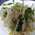 かいりっし's cooksnap of when they made 豆苗と☆もやしの♡シャキしゃきツナサラダ.