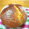 ayayahoney's cooksnap of when they made 自家製酵母のカンパーニュ♪　ストレート法.