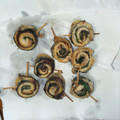 クックFMWCW9☆'s cooksnap of when they made サクサク！さんまの梅シソ巻き揚げ♪.