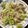 ＭＩ−ＳＡＮ's cooksnap of when they made 白米すすむ！簡単基本の牛肉とキャベツ炒め.