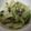 ごじひめ's cooksnap of when they made レタスと海苔のやみつきサラダ.