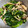 クックOX59B5☆'s cooksnap of when they made しめじとほうれん草のおひたし😋.