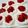 わたしはタヌキ's cooksnap of when they made クリスマスケーキにふわふわスポンジケーキ.