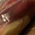 MULA's cooksnap of when they made 茗荷の甘酢漬け　簡単.