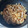 みーつー's cooksnap of when they made 簡単お店の味！豚ロース生姜焼き☻.