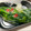 ＠ぽんきち＠'s cooksnap of when they made 【農家のレシピ】菜の花の浅漬け.