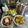 ebipeco's cooksnap of when they made ♬ ごま油香る ♬ 簡単アボカドまぐろ丼.